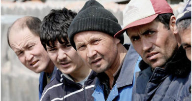 22 нелегала из Средней Азии пытались проехать в Крым, спрятавшись под сумками