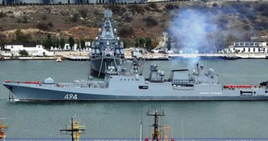 Фрегат Черноморского флота «Адмирал Григорович» сутки гостил на Кипре