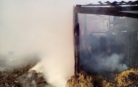 В крымском селе в сарае сгорело 7 тонн сена